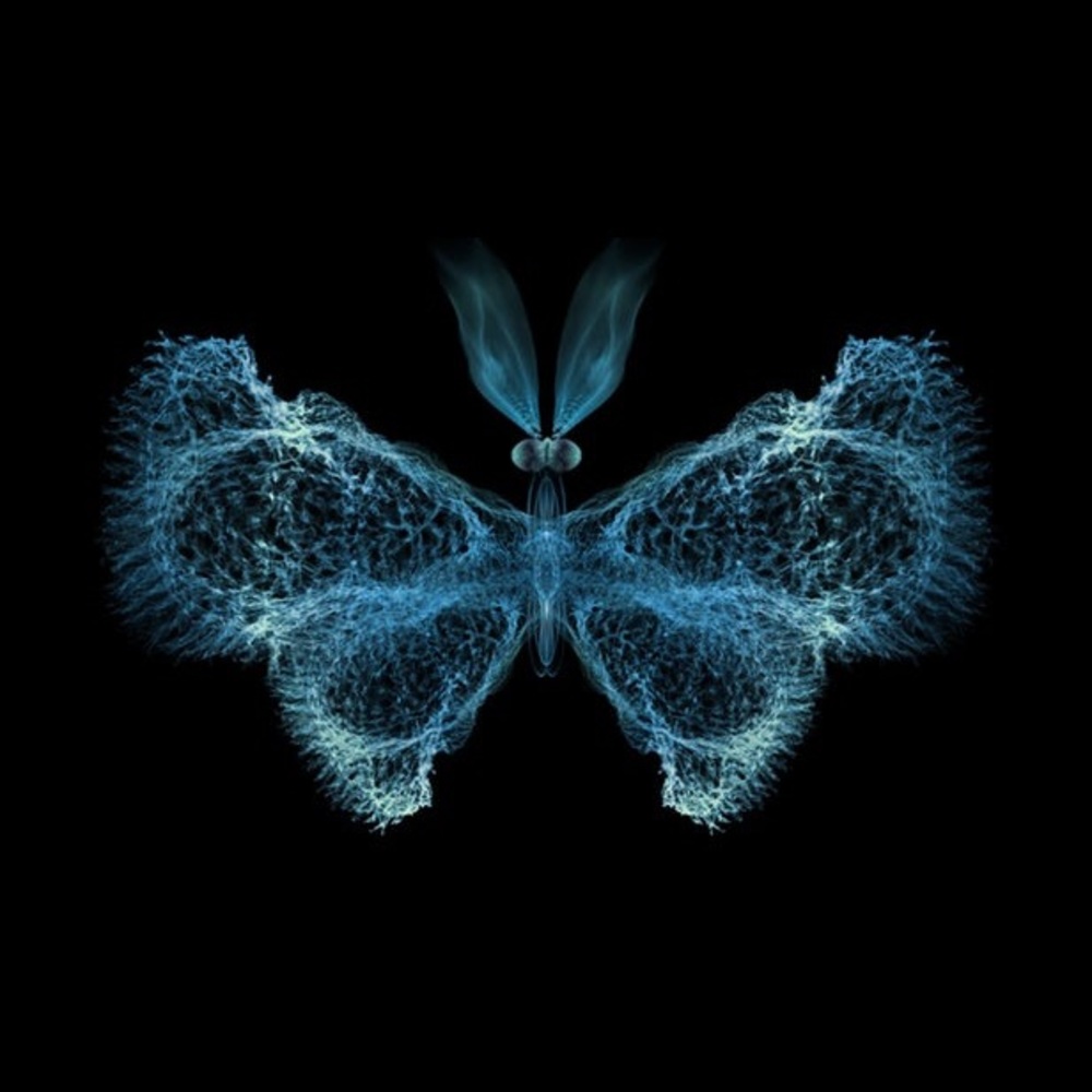 Meet your Posher, Maria c